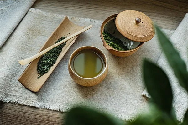 リムノフィラの育て方！初心者向けCO2不要で簡単水草栽培