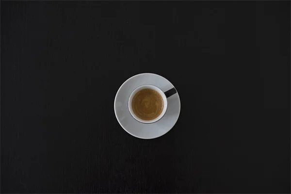 サボテンのレイズドベッド作り方！失敗しないための5つのコツと土作り