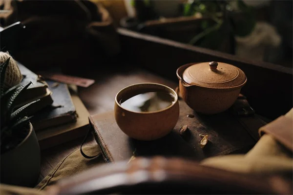 観葉植物の間接光とは？見分け方と育つ種類を初心者向けに解説