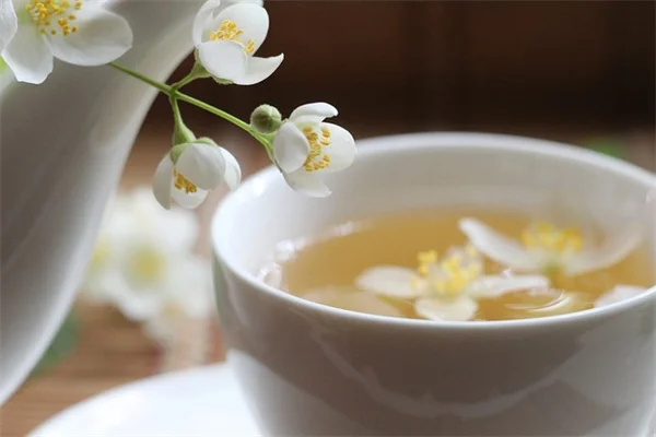 半額で作れる！種まき用土の配合術と失敗しない3つのコツ