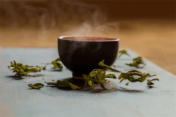 雨の匂いの正体はペトリコールだった！知って得する健康効果と楽しみ方